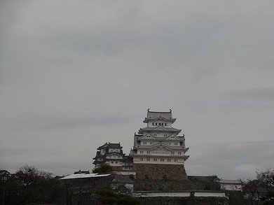 p145580788910.jpg