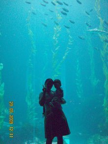 DSCN7398.JPG