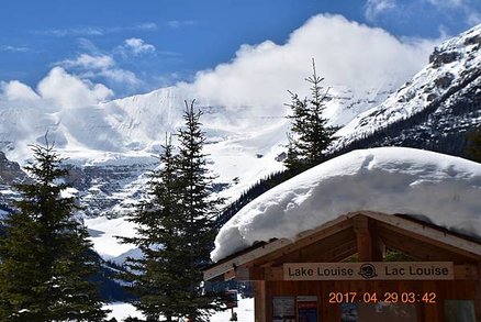 IMG_0595.JPG