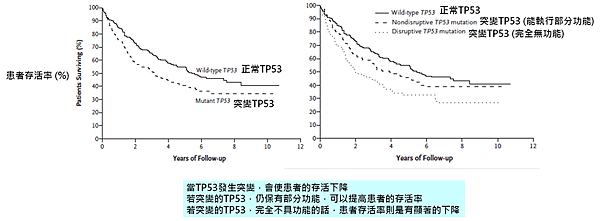 TP53-頭頸癌癒後.png