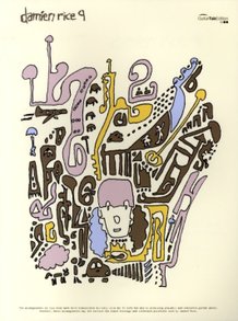 damien rice 9.jpg