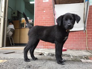 Angel_171123_0007.jpg