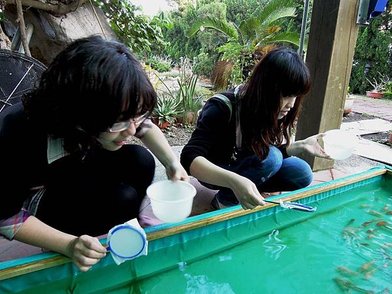 DSCN2126.JPG