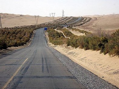 綠色植被及彎曲道路