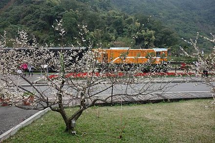 DSC01562