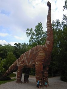 DSCN2158.JPG