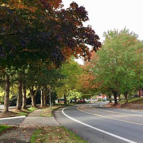 奧瑞岡州波特蘭逛街趣Portland, OR