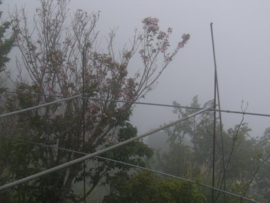 P1020526.JPG
