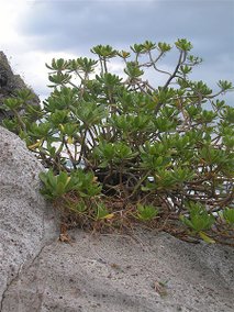 DSCN0120.JPG