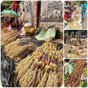 印度自由行（十四）孟買-飛機-加爾各答 Kolkata