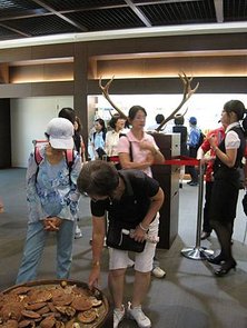 IMG_1806.JPG