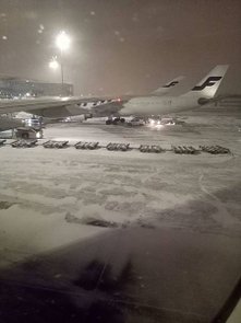 95830.jpg