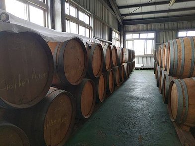 P_20191204_115705.jpg