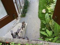 DSC06837.JPG