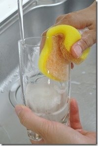 DSCN5437