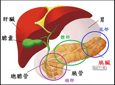 未命名.png