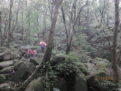 2016-03-21  新北竹山古道   044.JPG