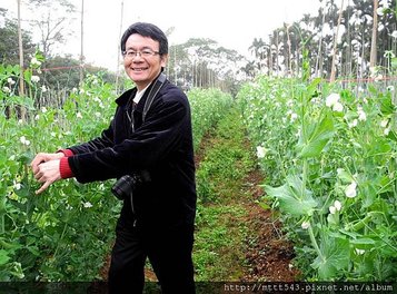 綠意盎然的田間 (1).jpg