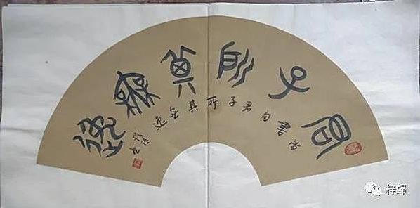 641 (10)