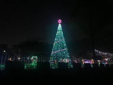 IMG_5264.JPG