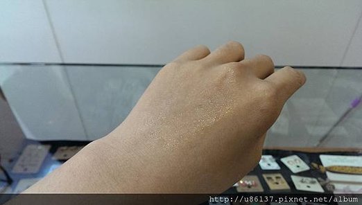 IMAG7529