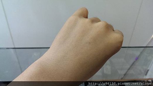 IMAG7531