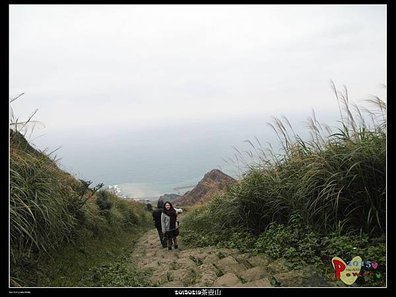 20150219茶壺山 (35)