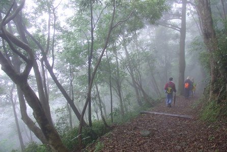 東眼山11.jpg