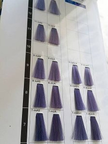 雲林斗六 H hair南希髮型造型師   【薰衣草藍紫色】