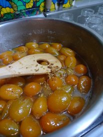 照片 205.jpg