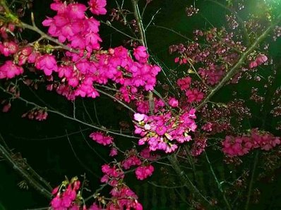 WP_20140131_005