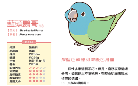 鳥.png