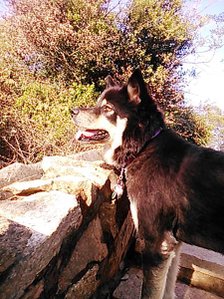 CYMERA_20141205_153051