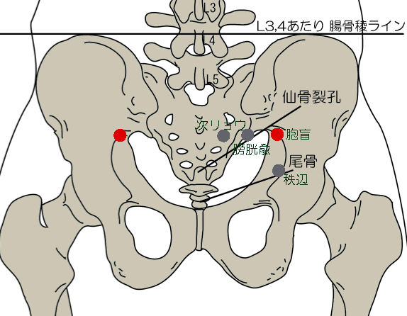 胞肓穴.gif