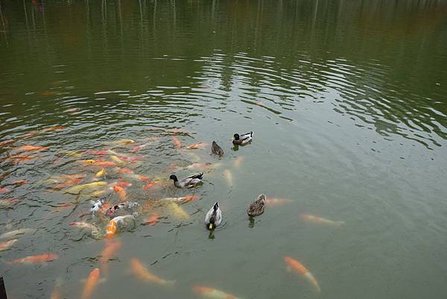 DSC01599