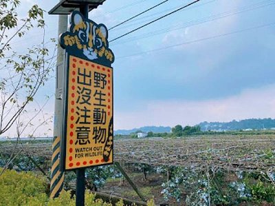 苗栗 水果王國 卓蘭鎮景點 奉天宮 苗栗景點 採果 農場 葡萄金剛 柑橘金剛 楊桃金剛 水梨金剛