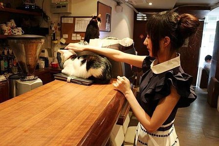 櫃檯左上.jpg