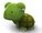 turtle50clip