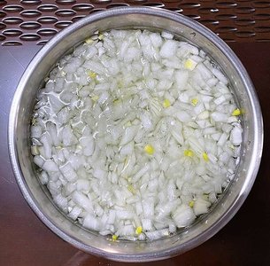 salsa-onion.jpg