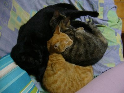 20060207 008.jpg