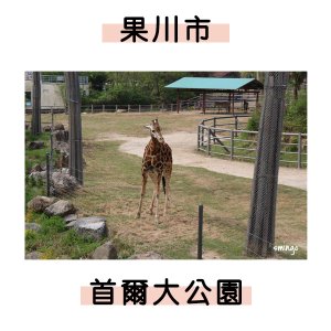 首爾大公園.jpg