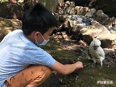 台北陽明山》從第一停車場 前往 前山公園》沿途風景老少咸宜半