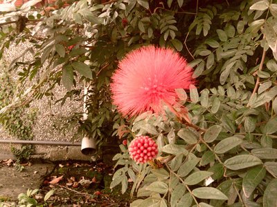 相片171..jpg
