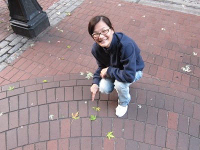 已經入秋了!地上都是加拿大國花