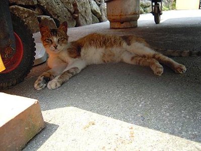 DSCN6092.JPG