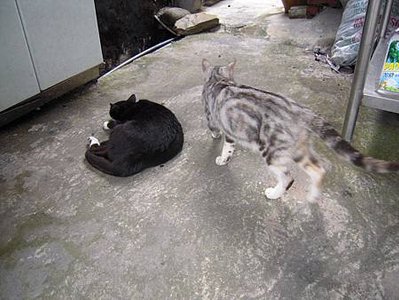 DSCN6113.JPG