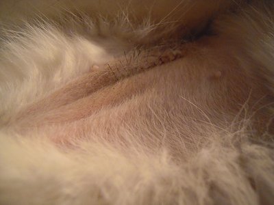 DSCN4169.JPG
