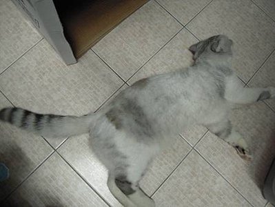 DSCN5819.JPG