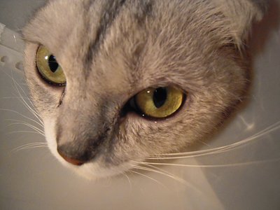 DSCN4197.JPG