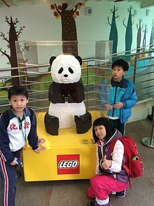 IMG_3121.jpg